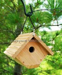 Audubon Wood Wren Birdhouse