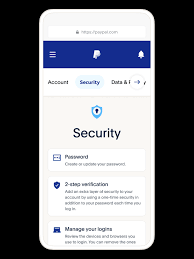 account security protect your paypal