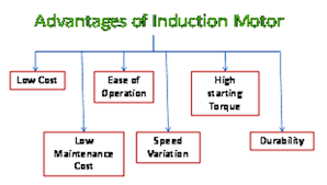 types of induction motor working
