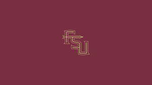 florida state university seminoles