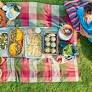 Cómo organizar un picnic "paso a paso" de www.rtve.es