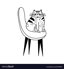 cat sitting on chair furniture isolated