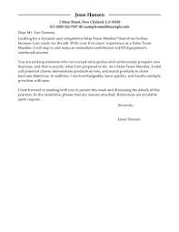 Leading Professional Team Member Cover Letter Examples Resources