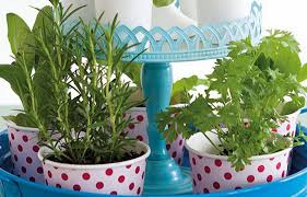 How To Make A Cake Stand Herb Garden