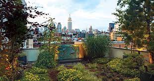 Tour A Nyc Rooftop Garden Inspired By