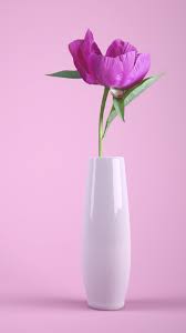 pink flower wallpaper 4k flower vase