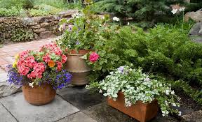 Container Garden Ideas The Home Depot