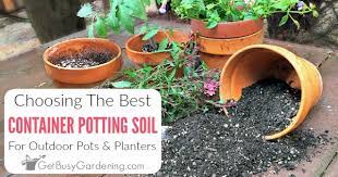 choosing the best potting soil mix for
