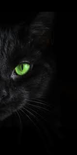 Black Cat Green Eye Iphone Wallpaper