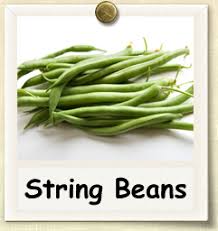 how to grow string beans guide to