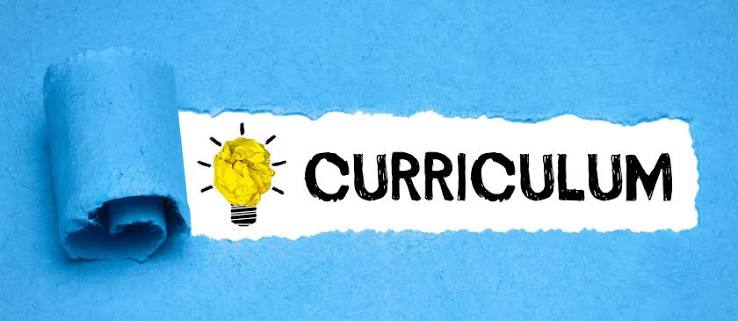 Effective Curriculum Review: A Guide For Professionals