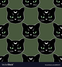 black cat faces vector image