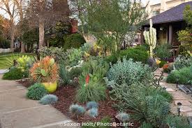Small Space Front Yard Drought Tolerant