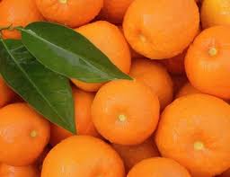 Guide To Types Of Winter Orange And Tangerines