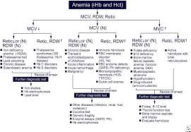 Rare Anemia Workup Flowchart Anemia Nutritional Flow Chart
