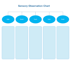 Observation Chart Graphic Organizers Solutions