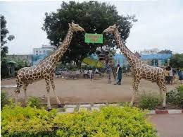 Fiber Park Giraffe Statue For Park