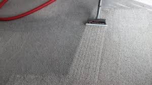 deer park carpet cleaning carpet