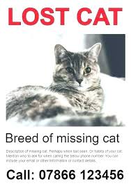 Found Pet Flyer Template Lost Dog Reward Poster Lost Pet