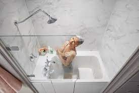 Walk In Tub Shower Combo Kohler