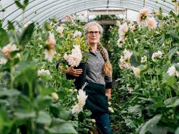 a flower farming renaissance america s