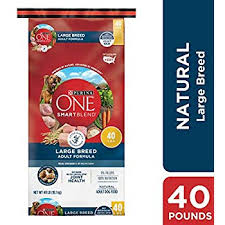 Amazon Com Purina One Natural Large Breed Dry Puppy Food
