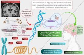 crispr cas9 gene editing new hope for