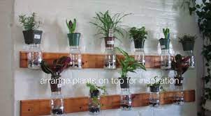 Diy Mason Jar Herb Garden With Summer
