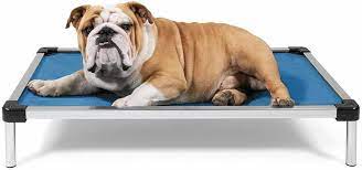 The Best Chew Proof Dog Bed 7 Tough