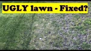 There are easy ways to. Lawn Care Videos