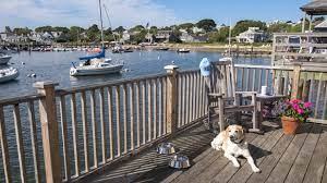 15 dog friendly hotels in new england