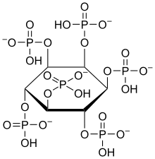 Phytic Acid Wikipedia