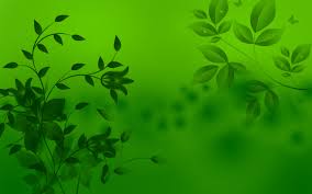 green background images 46 pictures