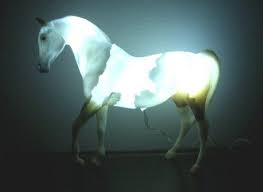 Wms Nightlights Horses Night Light Equestrian Lifestyle