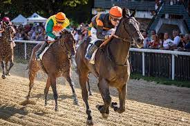 Courses de chevaux virtuelles
