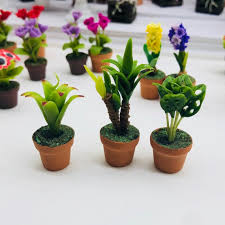 Miniature Plants In Pot Miniature Plant