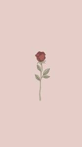 simple rose wallpapers top free