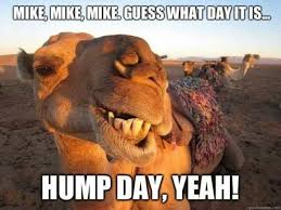 See more ideas about hump day pictures, hump day, hump. 60 Funniest Hump Day Memes To Survive Wednesdays