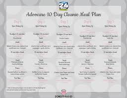 advocare 10 day cleanse meal plan