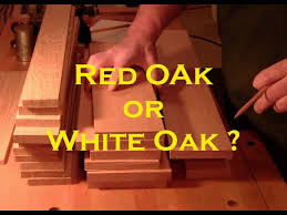 red oak vs white oak identify them