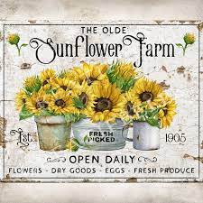 Sunflower Farm Old Sunflower Sign