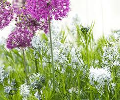 four season perennial garden design