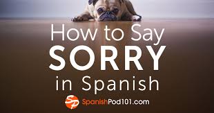 In spanish you would say i have ?? How To Say Sorry In Spanish