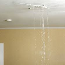 what to do when ceiling is leaking