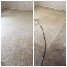executive green carpet cleaning 11