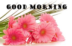 good morning flowers wallpapers