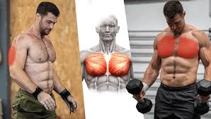 7 best upper chest exercises you have