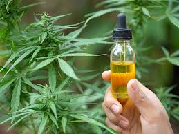 Which Cbd Oil For Pain Relief