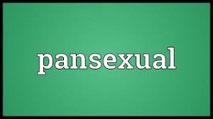 Xxnamexx mean in indonesia twitter video download free. Pansexual Meaning Youtube
