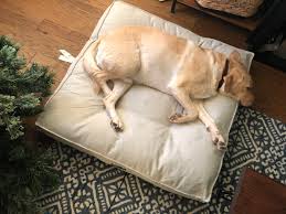 Pets with sensitive skin might benefit from an additional rinse at the end of the wash cycle, and bedding with polyester stuffing should be hung to. This Costco Dog Bed Almost Makes My Boy Look Slim Please Excuse His Winter Weight Costco